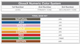 GlossX 11.11 | 11AA Intense Ash Super Platinum Blonde