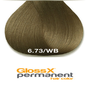 GlossX 6.73 | 6WB Warm Brown Dark Blonde